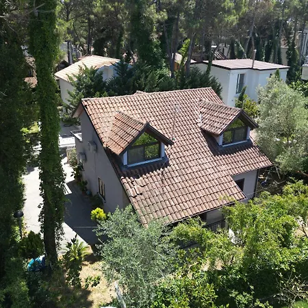 In Qerret - 100 M From The *